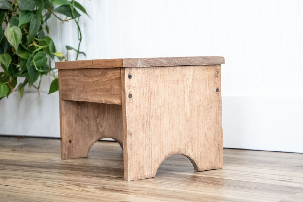 Raised Dog Bowl Stand with 2 Stainless Steel Bowls, Elevated Pet Feeder